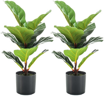 Emerald Set van 2x stuks groene kunstplanten ficus Lyrata 55 cm