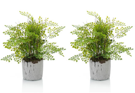 Emerald Set van 2x stuks groene kunstplanten varen 30 cm - Kunstplanten