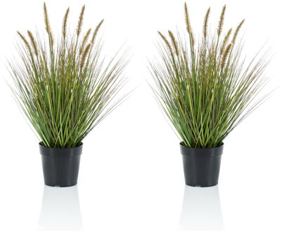 Emerald Set van 2x stuks kunstplanten groen gras sprieten 58 cm. - Kunstplanten