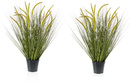 Emerald Set van 2x stuks kunstplanten groen gras sprieten 70 cm. - Kunstplanten