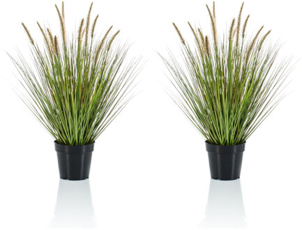 Emerald Set van 2x stuks kunstplanten groen gras sprieten 71 cm. - Kunstplanten