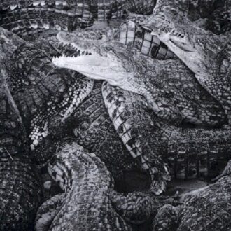 Emilie Levienaise Farrouch - Like Water