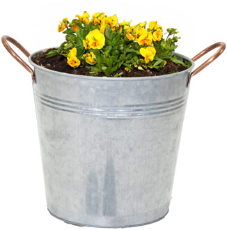 Emmer/plantenpot Jean - zink - zilver - D16 X H15 cm - IJzeren emmer / teil Zilverkleurig