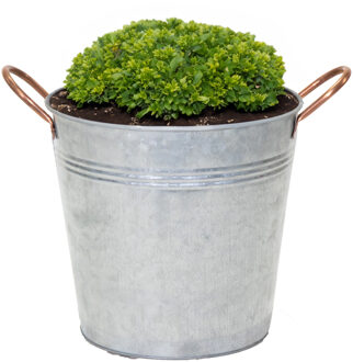 Emmer/plantenpot Jean - zink - zilver - D25 X H21 cm - IJzeren emmer / teil Zilverkleurig