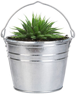 Emmer/plantenpot - zink - zilver - D25 x H19 cm - IJzeren emmer / teil Zilverkleurig