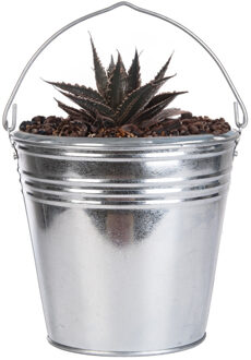 Emmer/plantenpot - zink - zilver - D29 x H25 cm - IJzeren emmer / teil Zilverkleurig