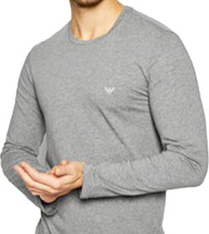 Emporio Armani heren T-shirt met klein logo - maat M Grijs