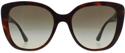 Emporio Armani Vlinder Dames Glimmend Havana Rood Groen Kleurverloop EA4214U