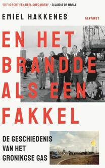 En het brandde als een fakkel -  Emiel Hakkenes (ISBN: 9789021342993)