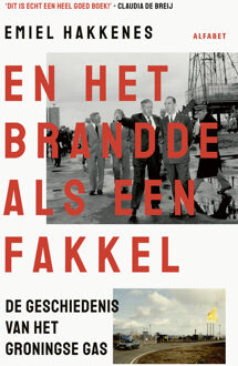 En het brandde als een fakkel -  Emiel Hakkenes (ISBN: 9789021343006)