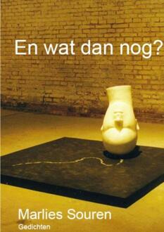 En wat dan nog? - Boek Marlies Souren (9463180036)