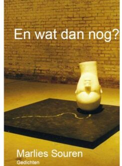 En wat dan nog? - Boek Marlies Souren (9463180036)