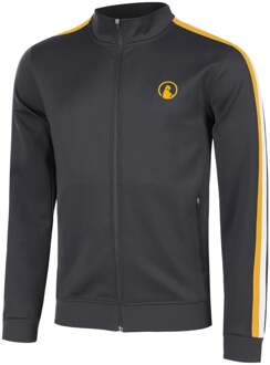 Endlessly Stripes Trainingsjack Heren-Antraciet,Oranje