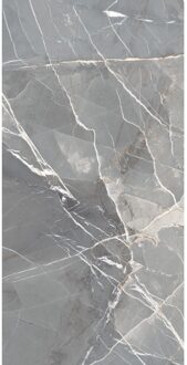 EnergieKer NIET MEER LEVERBAAR Vloer- en Wandtegel Energieker Thunder Marmerlook 60x120 cm Mat Clang Energieker