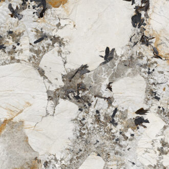 EnergieKer Vloer- en Wandtegel Energieker Ekxtreme 120x120 cm Glanzend Patagonia Energieker