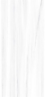 EnergieKer Vloer- en Wandtegel Energieker Ekxtreme 120x280 cm Glanzend Dolomite Energieker