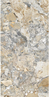 EnergieKer Vloer- En Wandtegel Energieker Ekxtreme Gepolijst 60x120 cm Warm Ambrosia Energieker