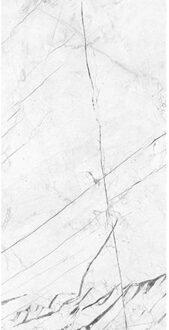 EnergieKer Vloertegel Energieker Ekxtreme Glans 120X280 cm Marquina White Energieker