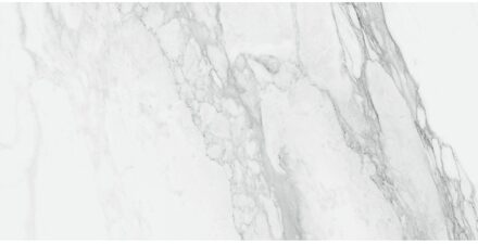 EnergieKer Vloertegel Energieker Ekxtreme Glans 60X120 cm Bernini Energieker