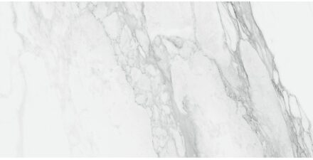 EnergieKer Vloertegel Energieker Ekxtreme Naturale 120X270 cm Bernini Energieker