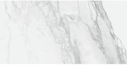 EnergieKer Vloertegel Energieker Ekxtreme Naturale 60X120 cm Bernini Energieker