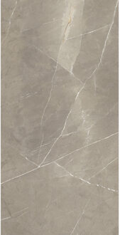 EnergieKer Vloertegel Energieker Pietragrey Glans 120X270 cm Taupe Energieker