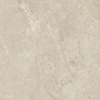 EnergieKer Vloertegel Energieker Wonder 120x120 cm Mat Dunes Energieker