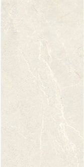 EnergieKer Vloertegel Energieker Wonder 60x120 cm Mat Sleet Energieker