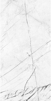 EnergieKer Vloertegel XL Energieker Ekxtreme Marquina Naturale 60x120 cm Marmerlook Mat Wit Energieker