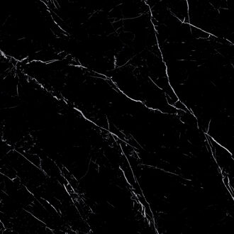 EnergieKer XL Vloertegel Energieker Ekxtreme Levigato Marquina Black Glans Zwart 120x120 cm Energieker