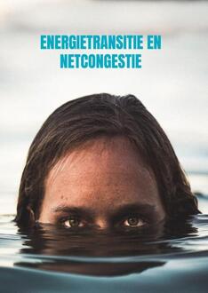 Energietransitie -  R.M. van Schaik (ISBN: 9789465019628)