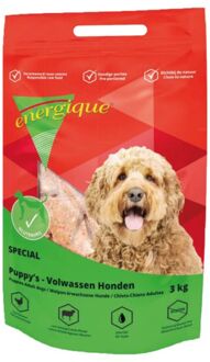 Energique Special - Vers Vlees - Hondenvoer - Kip - Lam