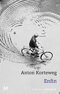 Enfin - Anton Korteweg - ebook
