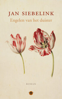 Engelen van het duister - Boek Jan Siebelink (9023454154)