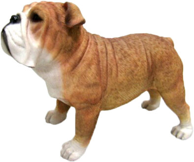 Engels Bulldog beeldje - 9 cm - polystone - honden beeld