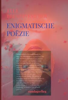 Enigmatische poëzie - Elle Brenninkmeijer-Werners (ISBN: 9789403739083)