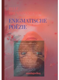 Enigmatische Poëzie - Elle Brenninkmeijer-Werners