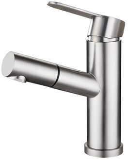 Enkel Handvat Geborsteld Rvs Kraan Sproeier Met 4.9ft Flexibele Slang Voor Aanrecht Wastafel