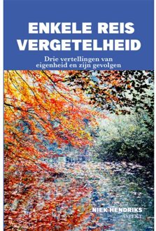 Enkele Reis Vergetelheid - Niek Hendriks