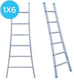 Enkele Uitgebogen Ladder - Lichtgewicht Met 1x6 Sporten