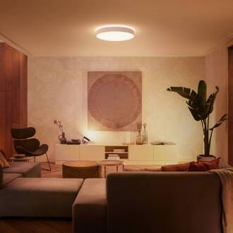 Enrave Plafondlamp - XL - Wit