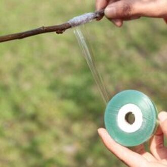 Enten Tape Enten Film Zelfklevende Rekbaar Snoeien Groene 1 Roll