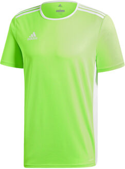 Entrada 18 Trikot Heren Sportshirt - Solar Green/Wit - Maat XL
