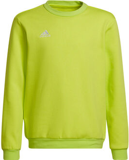 Entrada 22 Sweat Top Youth - Kids Sweater Groen - 116