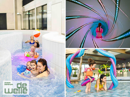 Entree Zwemcentrum De Welle + friet met saus