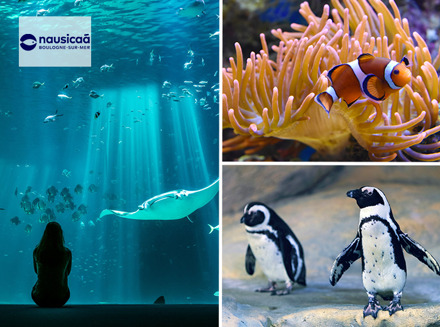 Entreeticket Nausicaá, het grootste aquarium van Europa