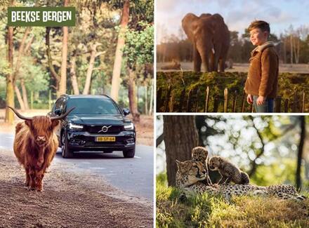 Entreeticket Safaripark Beekse Bergen