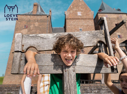 Entreeticket Slot Loevestein