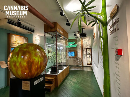 Entreetickets Cannabis Museum (2 personen)