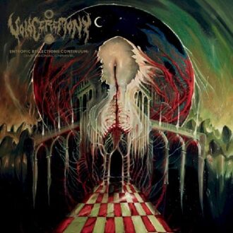 Entropic Reflections Continuum/Dimensional Unravel